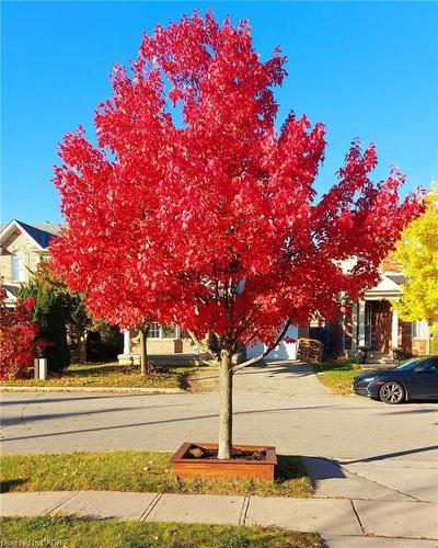 23 Mayo Avenue, Cambridge, ON - Outdoor