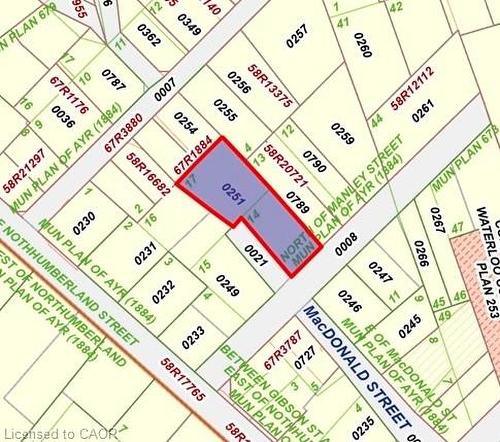 24 Manley Street, Ayr, ON - Other