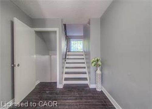 46 Guerin Avenue, Kitchener, ON - Indoor Photo Showing Other Room