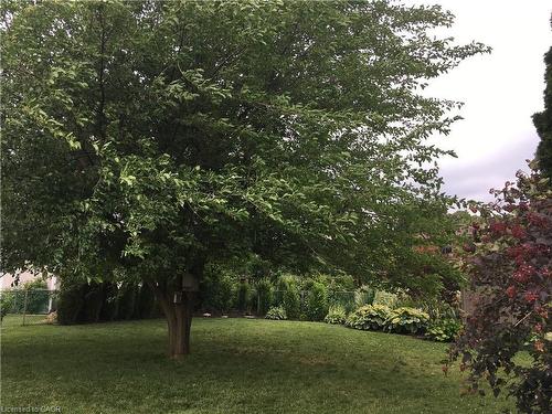 Lower-11 Wordsworth Place, Kitchener, ON - Outdoor