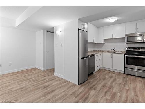 Basement-519 Duke Street W, Kitchener, ON - Indoor Photo Showing Kitchen With Double Sink