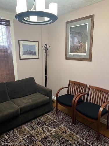 37 Dundas Street, Dundas, ON - Indoor Photo Showing Living Room