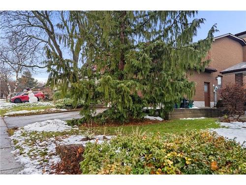 13 Mistflower Road, North York, ON - Outdoor