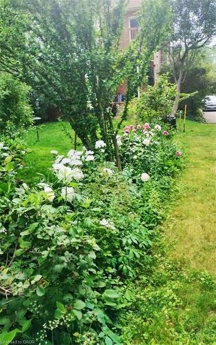 25 Fairmount Avenue, Hamilton, ON - Outdoor