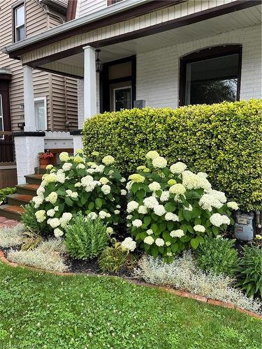 114 Chestnut Avenue, Hamilton, ON - Outdoor