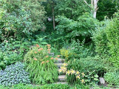 340 Pioneer Drive, Kitchener, ON - Outdoor