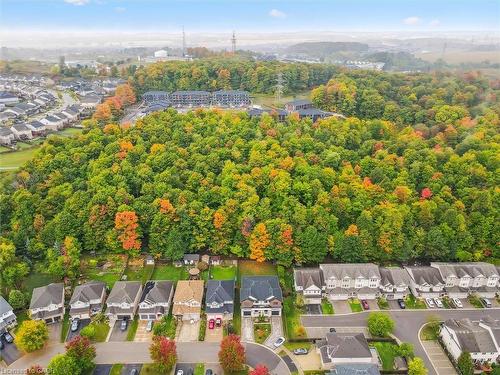 548 Peach Blossom Court, Kitchener, ON - Outdoor With View