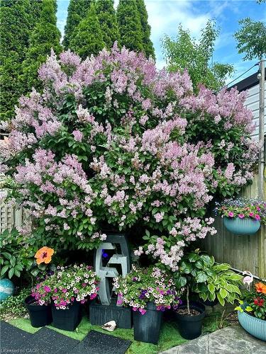 15 Gees Way, Cambridge, ON - Outdoor