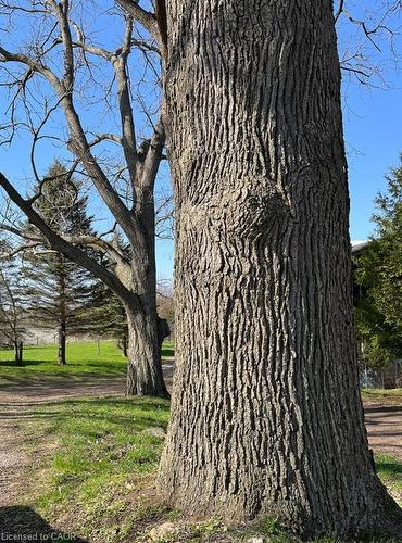 1457 97 Regional Road, Hamilton, ON 