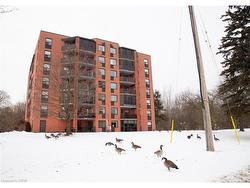 704-5 Mill Pond Court  Simcoe, ON N3Y 5J6