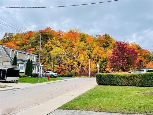 11 Scotia Avenue, Hamilton, ON - Outdoor