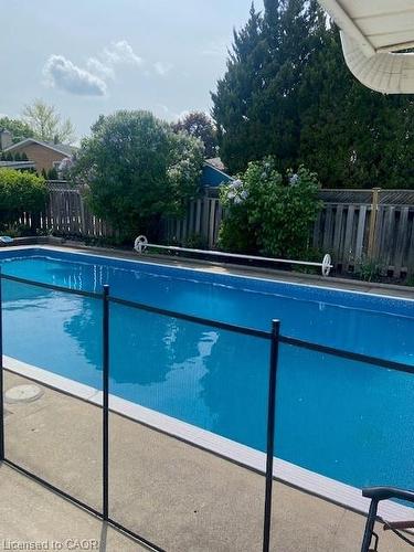 156 Rainbow Drive, Hamilton, ON - Outdoor With In Ground Pool With Backyard