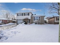 61 Moore Park Crescent  Georgetown, ON L7G 2T5