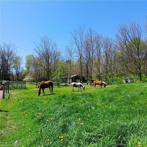 535 Mcdowell Road E, Simcoe, ON - Outdoor