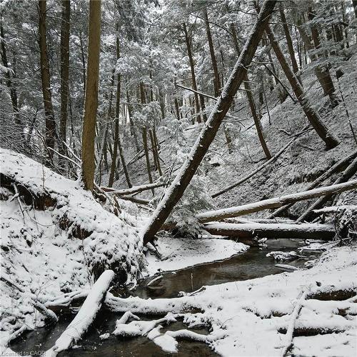 535 Mcdowell Road E, Simcoe, ON - Outdoor With View