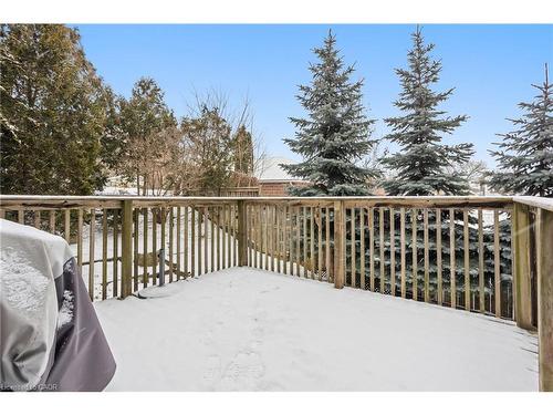 66 Chestnut Street, Kitchener, ON - Outdoor