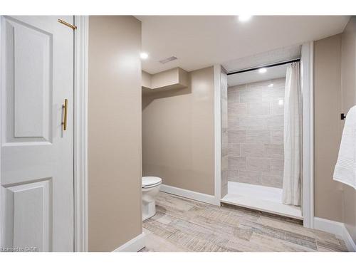 66 Chestnut Street, Kitchener, ON - Indoor Photo Showing Bathroom