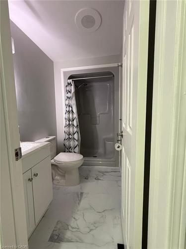 60 Denlow Street, Kitchener, ON - Indoor Photo Showing Bathroom