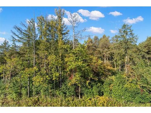 121 Milky Way Drive, Richmond Hill, ON - Outdoor With View