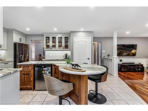 113 Deer Ridge Drive, Kitchener, ON - Indoor Photo Showing Kitchen With Upgraded Kitchen