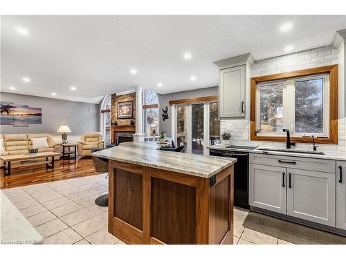 113 Deer Ridge Drive, Kitchener, ON - Indoor Photo Showing Kitchen