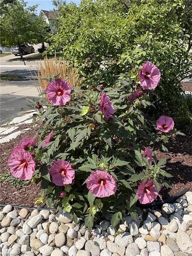 113 Deer Ridge Drive, Kitchener, ON - Outdoor