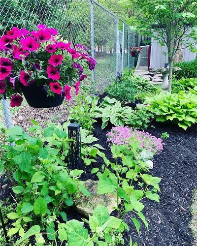 451 Knightsbridge Court, Waterloo, ON - Outdoor