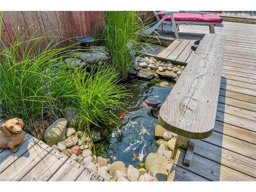 97 Bell Avenue, Hamilton, ON - Outdoor With Deck Patio Veranda