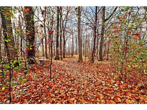 20 Burnley Place, Brampton, ON - Outdoor