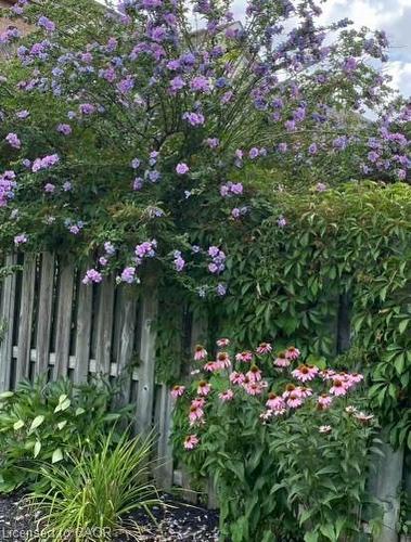 4324 Rosemead Court, Burlington, ON - Outdoor