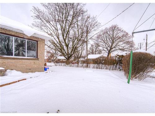 184 Patricia Avenue, Kitchener, ON - Outdoor