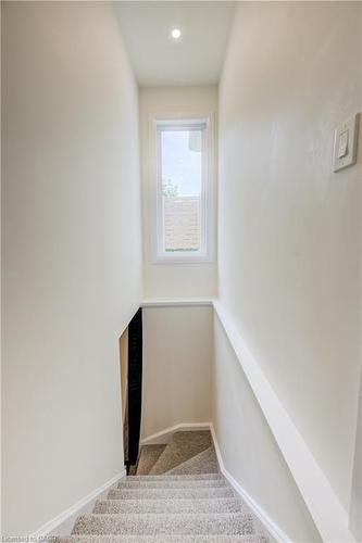 38 Euclid Avenue, Waterloo, ON - Indoor Photo Showing Other Room