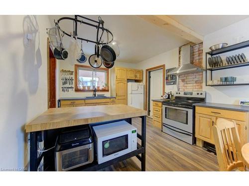 257 Guelph Street, Kitchener, ON - Indoor Photo Showing Kitchen