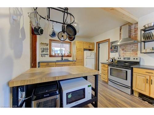 257 Guelph Street, Kitchener, ON - Indoor Photo Showing Kitchen