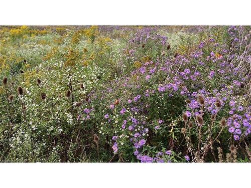 115 Larry Crescent, Caledonia, ON - Outdoor