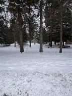 152 Mccall Crescent  Simcoe, ON N3Y 2E1