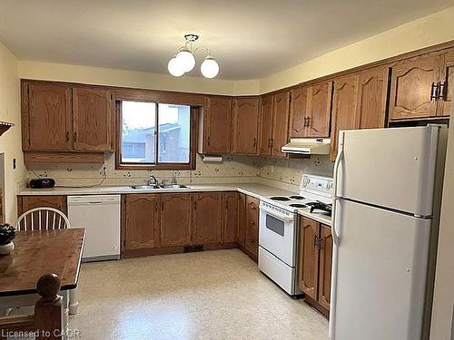 18 Kingfisher Drive, Hamilton, ON - Indoor Photo Showing Kitchen With Double Sink