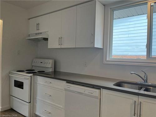 121 Markwood Drive, Kitchener, ON - Indoor Photo Showing Kitchen With Double Sink