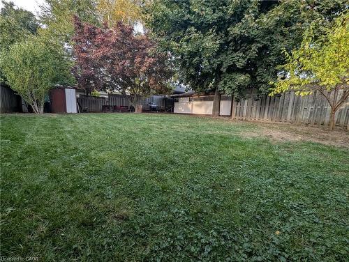 16 Alison Avenue, Cambridge, ON - Outdoor