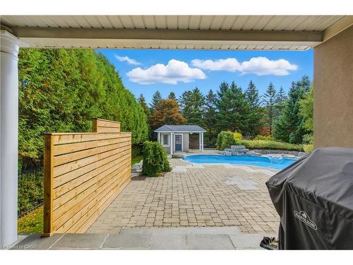 7 Appaloosa Trail, Carlisle, ON - Outdoor With In Ground Pool