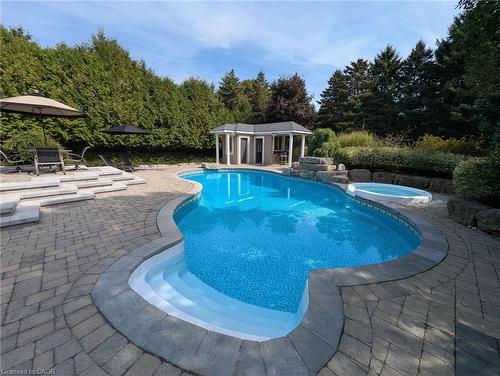 7 Appaloosa Trail, Carlisle, ON - Outdoor With In Ground Pool With Backyard