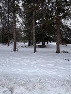 154 Mccall Crescent  Simcoe, ON N3Y 2E1