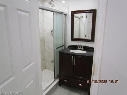 5542 Twelve Mile Trail, Burlington, ON - Indoor Photo Showing Bathroom