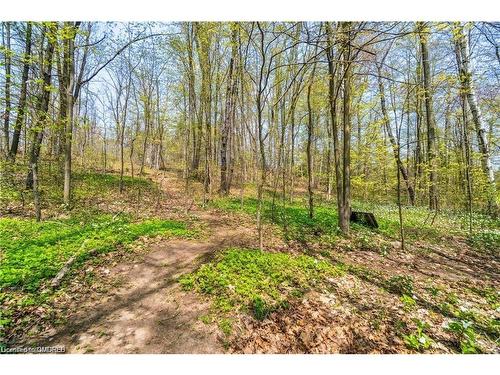 53 Woodend Drive, Carlisle, ON - Outdoor With View