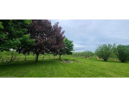 2393 Red Maple Avenue, Jordan Station, ON - Outdoor With View