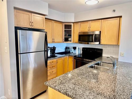 319-3070 Rotary Way, Burlington, ON - Indoor Photo Showing Kitchen With Stainless Steel Kitchen With Double Sink