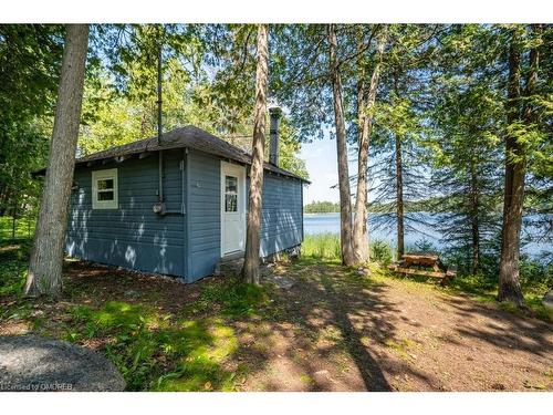 1320 & 1326 County Road 49, Trent Lakes, ON - Outdoor