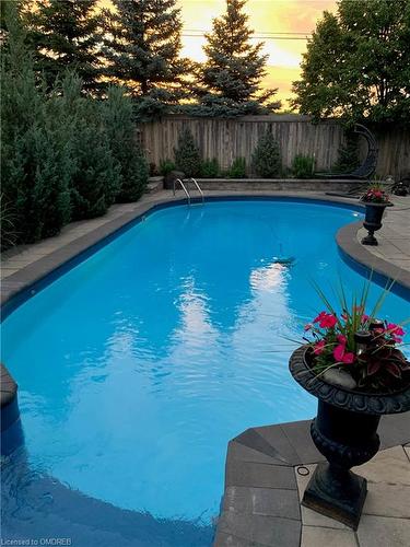 185 Holloway Terrace, Milton, ON - Outdoor With In Ground Pool With Backyard