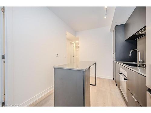 522-1 Jarvis Street, Hamilton, ON - Indoor Photo Showing Kitchen With Upgraded Kitchen