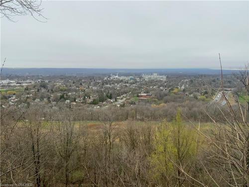 22 Daffodil Crescent, Hamilton, ON - Outdoor With View